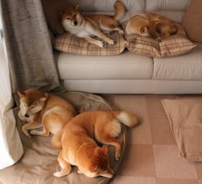 世界俱乐部杯-Dota 2 赛季末战队积分紧咬竞争激烈，dota2战队rank