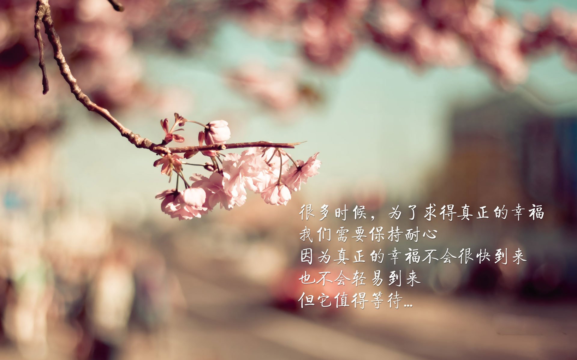 世俱杯2025赛程-加拿大队如何在国际乒联混合团体世界杯中保持冷静与专注，加拿大乒乓球队混双